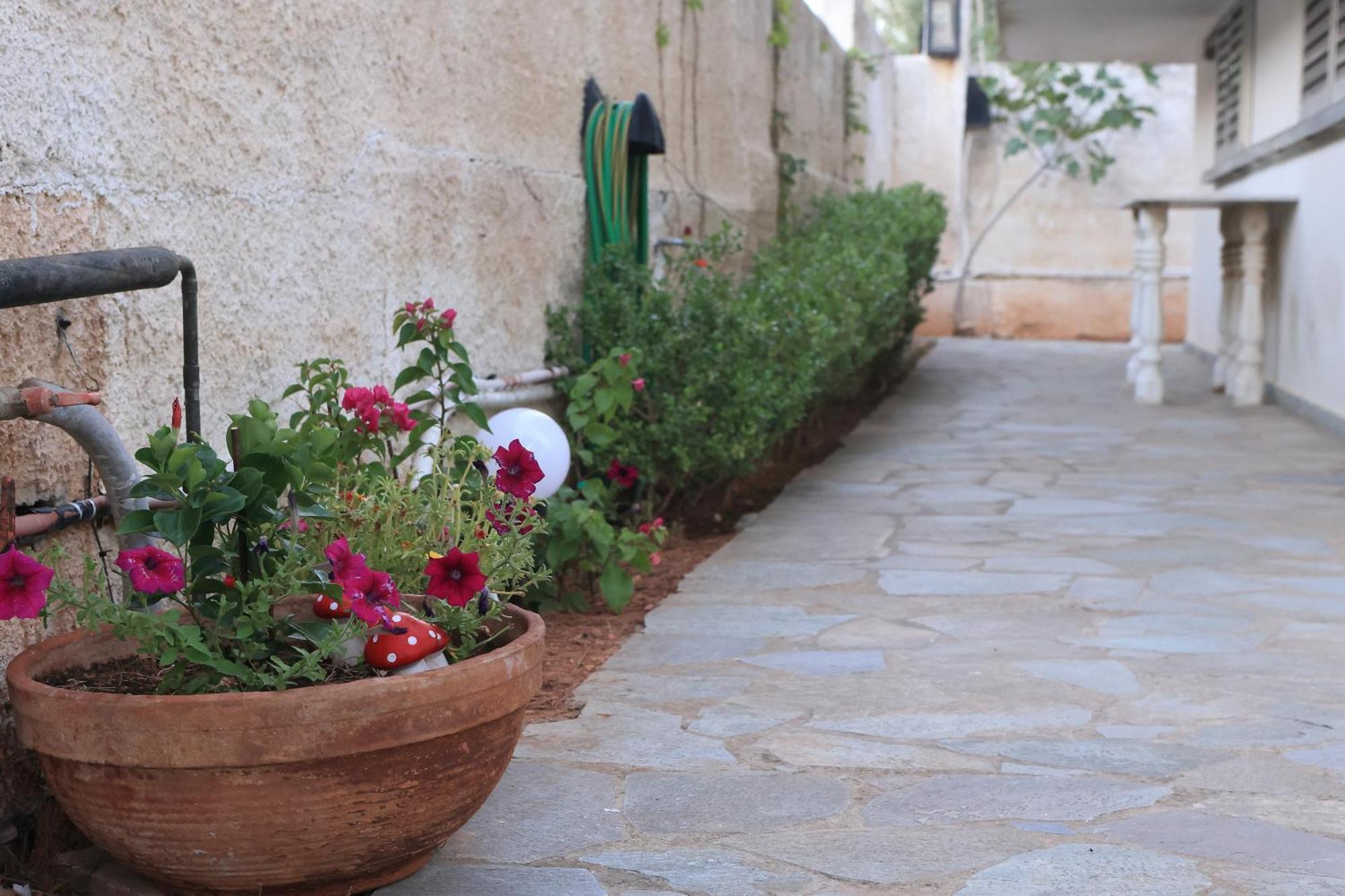 Secret Garden Home Lagonissi Attiki Melissourgoú Exterior foto